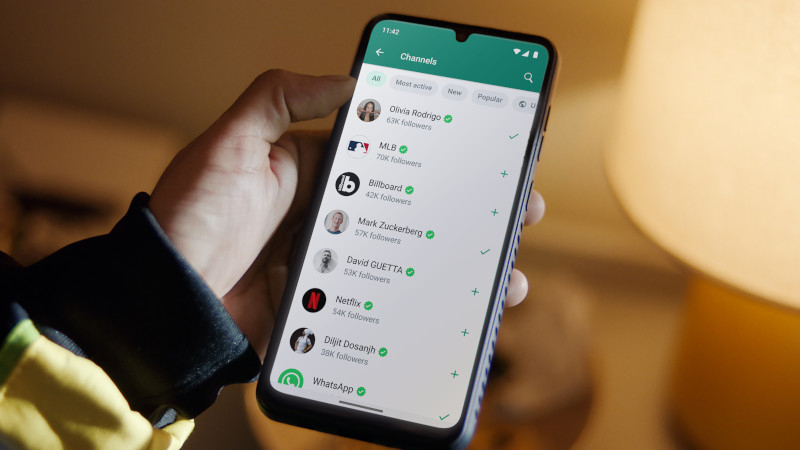  Источник изображения: WhatsApp 