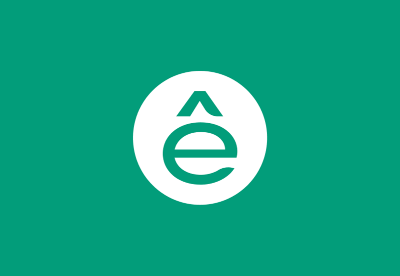  Источник изображения: Systême Electric 